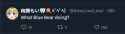 43 KB