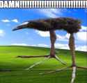 161 KB