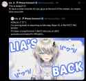 1.01 MB
