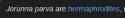 13 KB