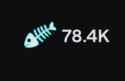 9 KB