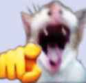 33 KB
