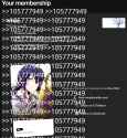 306 KB