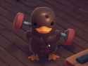 127 KB
