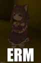 erm.jpg