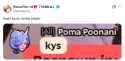 217 KB