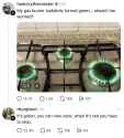 219 KB