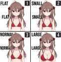 1.46 MB