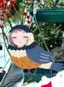 583 KB