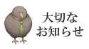 241 KB