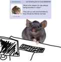 243 KB