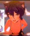 1.2 MB