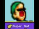 22 KB