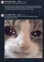 415 KB