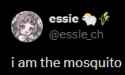 8 KB