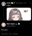 344 KB