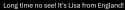 17 KB