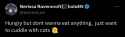 146 KB