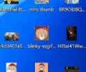 71 KB