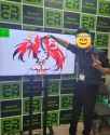 519 KB