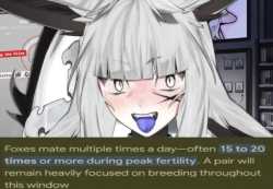 102 KB