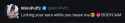 19 KB