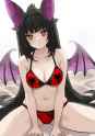 229 KB