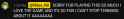 17 KB