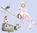 1.61 MB