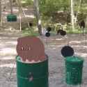 183 KB