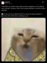 496 KB