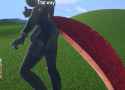 1.57 MB
