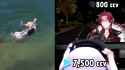 1.45 MB