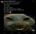 244 KB