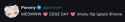 17 KB