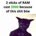 755 KB