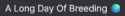 2 KB