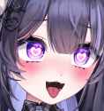 781 KB