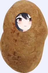 549 KB