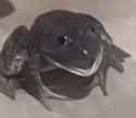 5 KB