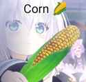 55 KB