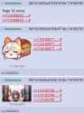 242 KB