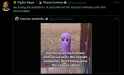 146 KB