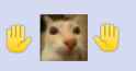 21 KB