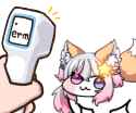 24 KB