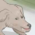 99 KB