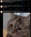 170 KB