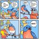600 KB