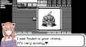253 KB
