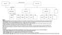 333 KB